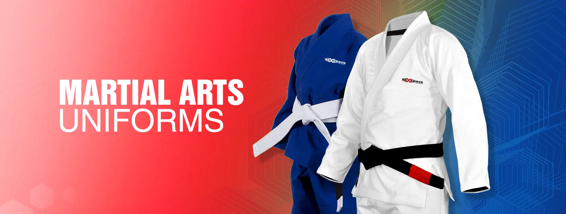 ban-martial-arts